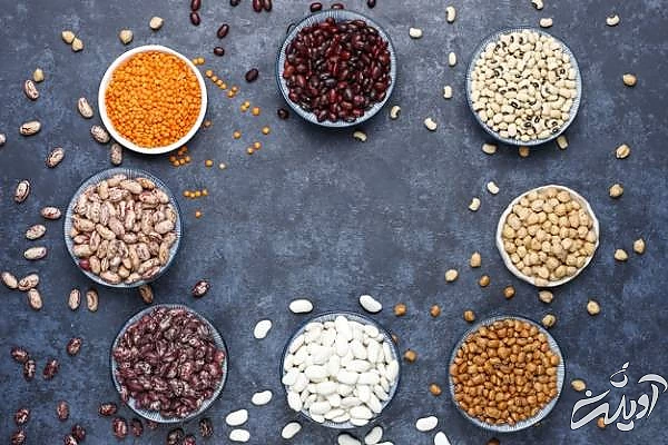 تغذیه آهن دار بعد از کاشت مو لوبیا